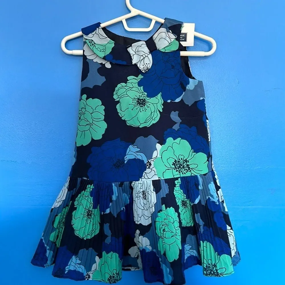 Janie & Jack Girls Dress 2T Big Floral Print Accordion Pleats Party Outfit